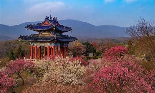 南京梅花山门票多少钱_南京梅花山门票多少钱一张