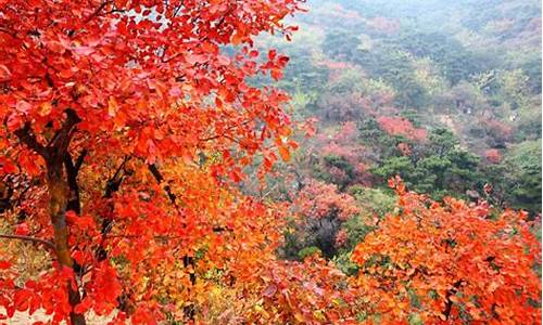 北京香山公园门票价格_北京香山公园门票价格多少钱