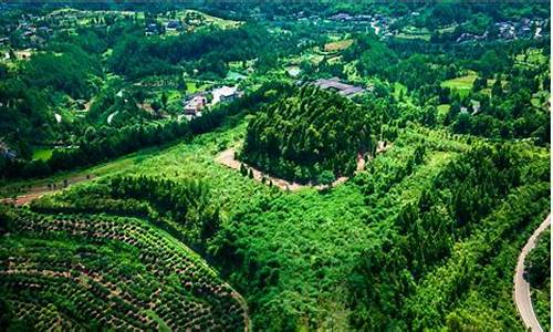 仪陇县天气预报_仪陇县天气预报十五天