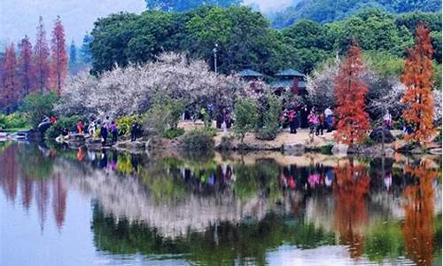 春天适合去哪里旅行_安徽春天适合去哪里旅行